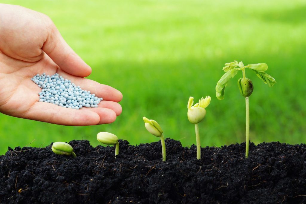 ISO 14042 - Yaşam Döngüsü Etki Değerlendirme Testi