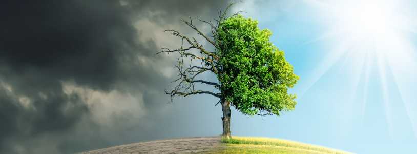 ISO 14088 - İklim Uyumu Performans Testi