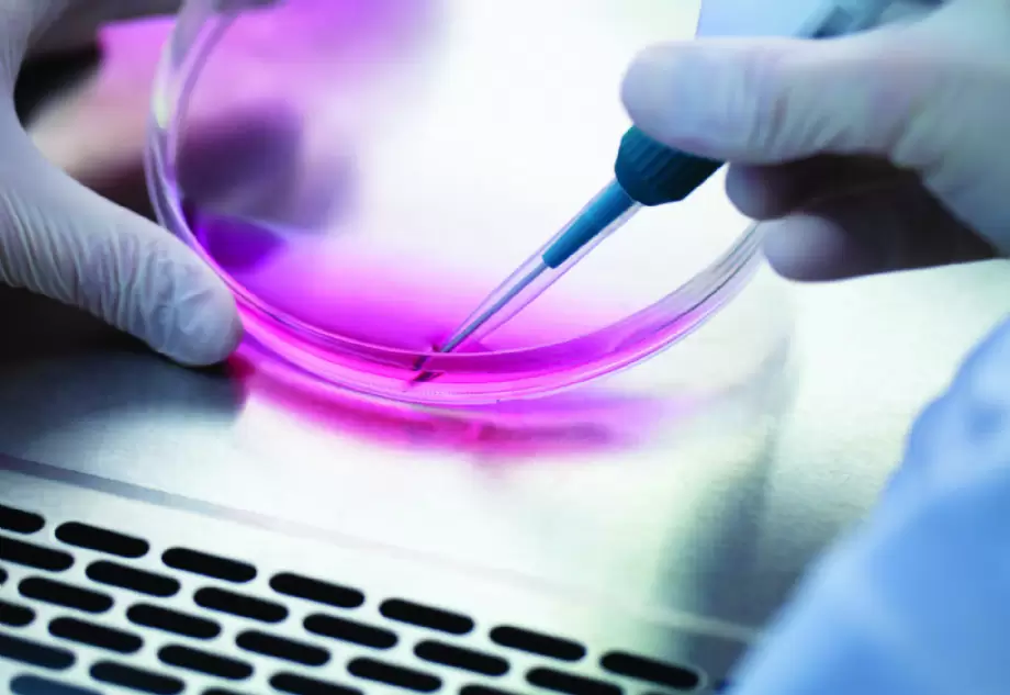 Neisseria gonorrhoeae PCR Testi