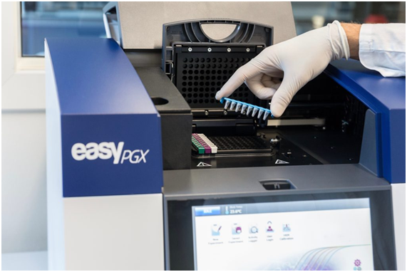 Enterobacteriaceae Genotiplendirme Testi