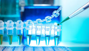 ISO 10993-24 - Biyouyumluluk için Nörotoksisite Değerlendirmesi