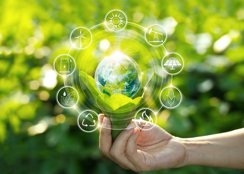 ISO 14001 Çevre Yönetim Sistemi Belgelendirmesi