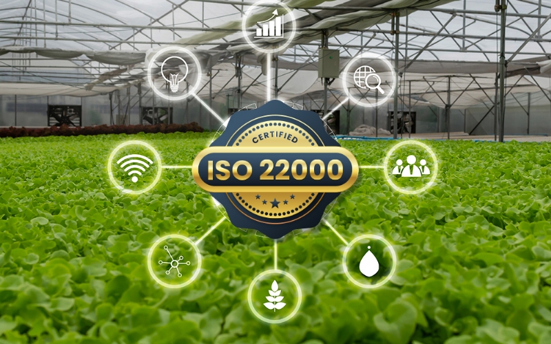 ISO 22000 Gıda Güvenliği Yönetim Sistemi için Belgelendirme