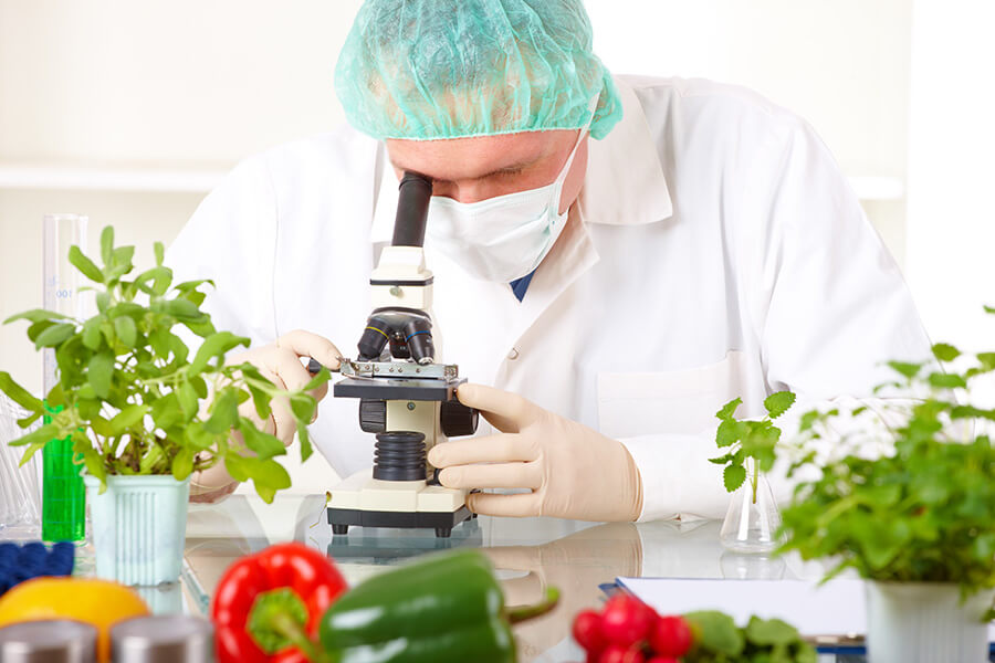 IFS Food Standardı için Belgelendirme