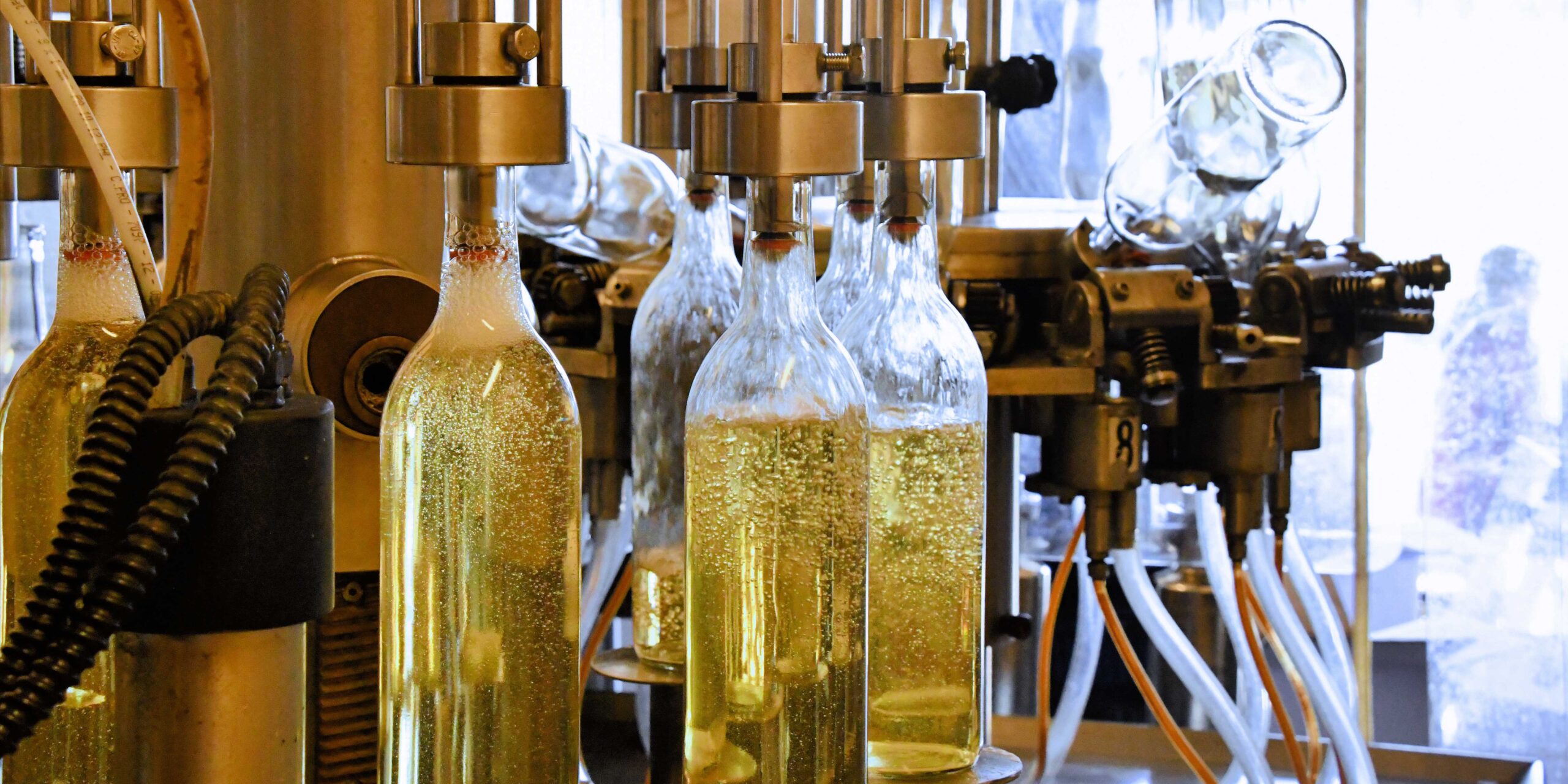 Bitkisel Yağ Üretimi için ISO 22000 Belgelendirmesi