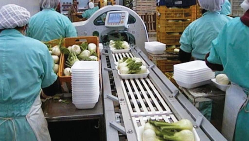 Bakliyat Paketleme için Gıda Güvenliği Belgelendirmesi