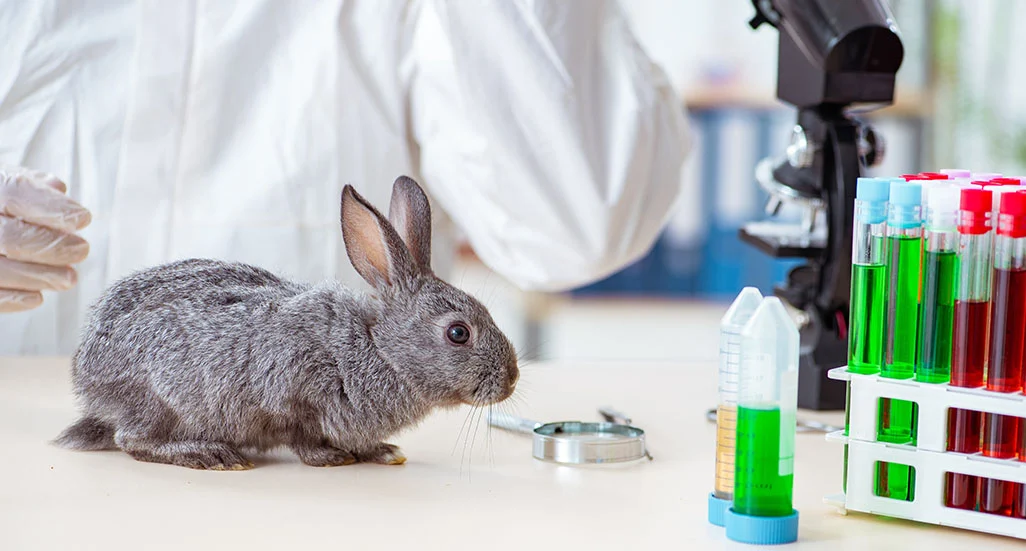 Cruelty Free International Sertifikası Belgelendirmesi