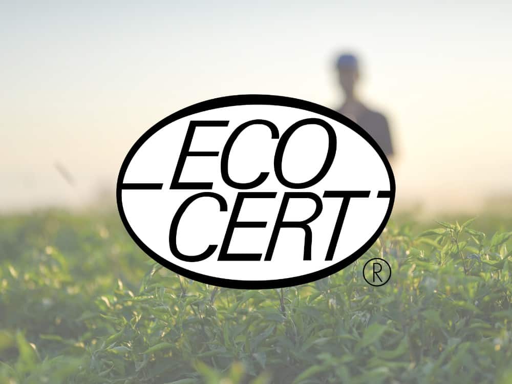 ISO dışı ECOCERT Cosmos Belgelendirmesi
