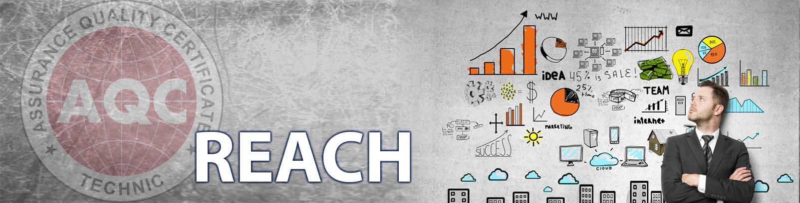 REACH Kimyasal İçerik Uygunluğu Belgelendirmesi